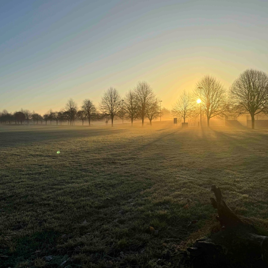 Nature sunrise